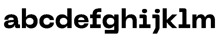 PPNeueMachinaPlain Bold Instance FONT