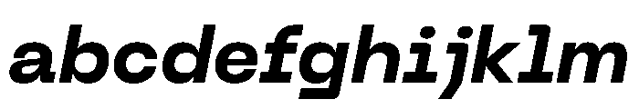 PPNeueMachinaPlain BoldItalic Instance FONT