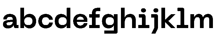 PPNeueMachinaPlain Semibold Instance FONT
