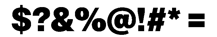PPNeueMontreal Black Instance Font OTHER CHARS