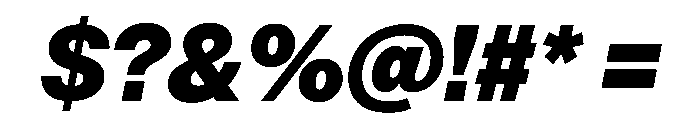PPNeueMontreal BlackItalic Font OTHER CHARS