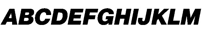 PPNeueMontreal BlackItalic Font UPPERCASE