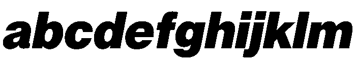 PPNeueMontreal BlackItalic FONT