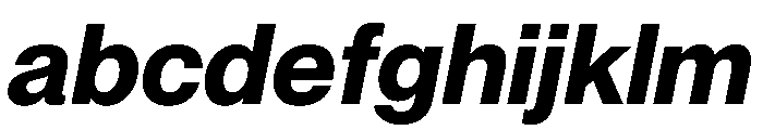 PPNeueMontreal BoldItalic Instance FONT