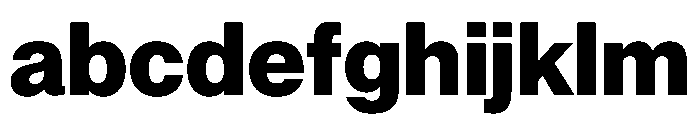 PPNeueMontreal Extrabold Instance FONT
