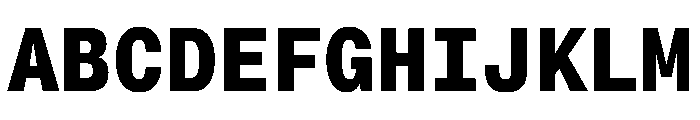 PPNeueMontrealMono Bold Instance Font UPPERCASE