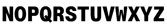 PPNeueMontrealMono Bold Font UPPERCASE