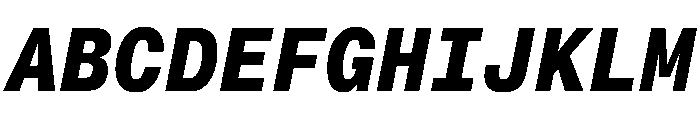 PPNeueMontrealMono BoldItalic Instance Font UPPERCASE