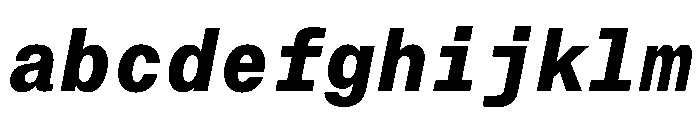 PPNeueMontrealMono BoldItalic Instance FONT