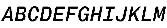 PPNeueMontrealMono MediumItalic Font UPPERCASE