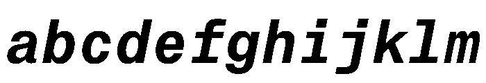 PPNeueMontrealMono SemiboldItalic Instance FONT