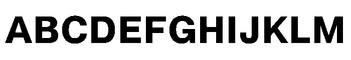 PPNeueMontrealText Bold Instance Font UPPERCASE