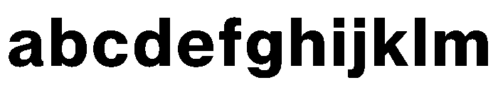 PPNeueMontrealText Bold Instance FONT