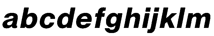 PPNeueMontrealText BoldItalic Instance FONT