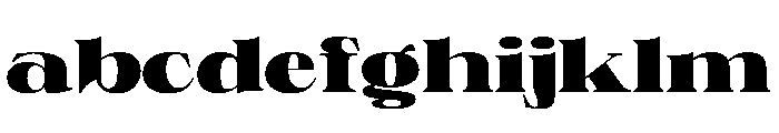 PPNeueWorld ExtendedBlack Instance FONT
