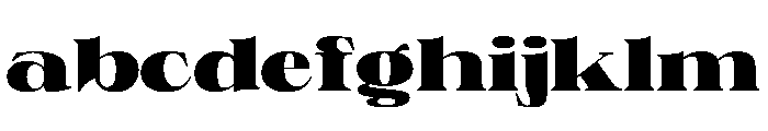 PPNeueWorldExtended Black Instance FONT