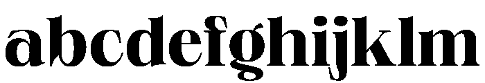 PPNeueWorldNormal Bold Instance FONT
