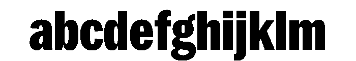 PPNeueYork CondensedBlack Instance FONT