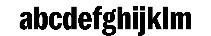 PPNeueYork CondensedExtrabold Instance FONT