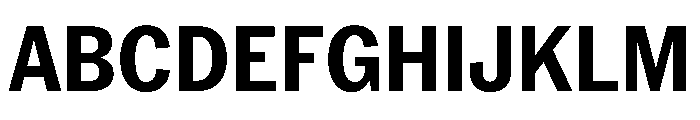 PPNeueYork NarrowBold Instance Font UPPERCASE