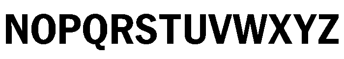 PPNeueYork NarrowBold Instance Font UPPERCASE