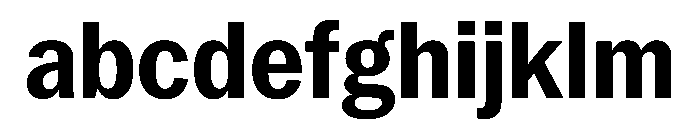 PPNeueYork NarrowBold Instance FONT