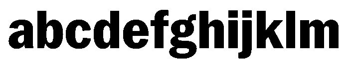 PPNeueYork NarrowExtrabold Instance FONT