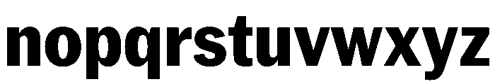 PPNeueYork NarrowExtrabold Instance Font LOWERCASE