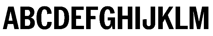 PPNeueYorkCondensed CondensedBold Instance Font UPPERCASE