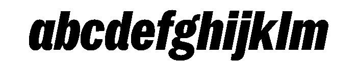 PPNeueYorkItalic CondensedBlackItalic Instance FONT