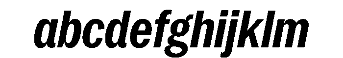 PPNeueYorkItalic CondensedBoldItalic Instance FONT
