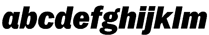 PPNeueYorkItalic NarrowBlackItalic Instance FONT