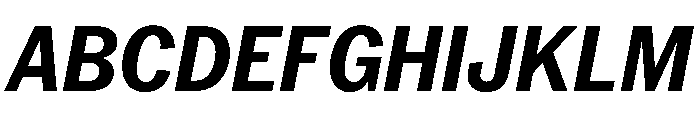 PPNeueYorkItalic NarrowBoldItalic Instance Font UPPERCASE