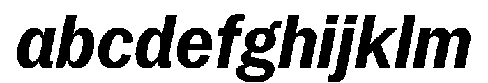 PPNeueYorkItalic NarrowBoldItalic Instance FONT