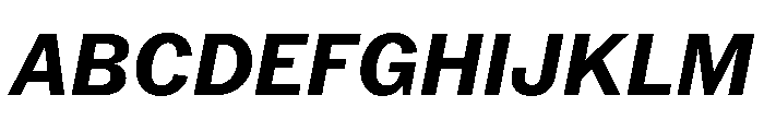 PPNeueYorkItalic NormalBoldItalic Instance Font UPPERCASE