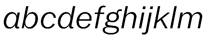 PPNeueYorkItalic NormalLightItalic Instance FONT