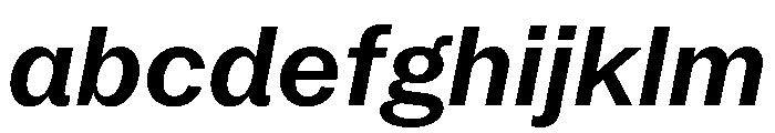 PPNeueYorkItalic NormalSemiboldItalic Instance FONT