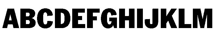 PPNeueYorkNarrow NarrowBlack Instance Font UPPERCASE