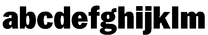 PPNeueYorkNarrow NarrowBlack Instance FONT