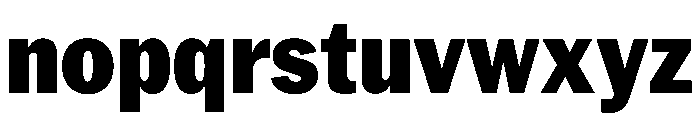 PPNeueYorkNarrow NarrowBlack Instance Font LOWERCASE