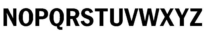 PPNeueYorkNarrow NarrowBold Instance Font UPPERCASE