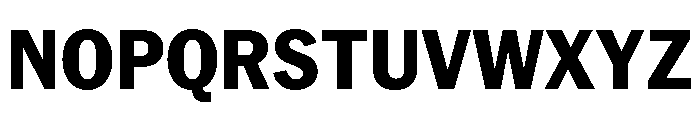 PPNeueYorkNarrow NarrowExtrabold Instance Font UPPERCASE