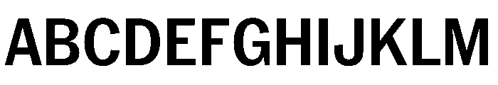 PPNeueYorkNarrow NarrowSemibold Instance Font UPPERCASE