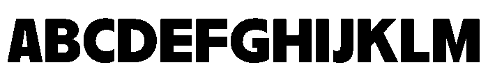 PPNikkeiJournal Bold Instance Font UPPERCASE