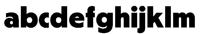 PPNikkeiJournal Bold Instance FONT