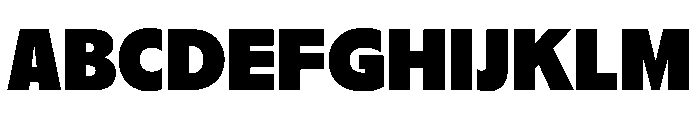 PPNikkeiJournal Heavy Instance Font UPPERCASE