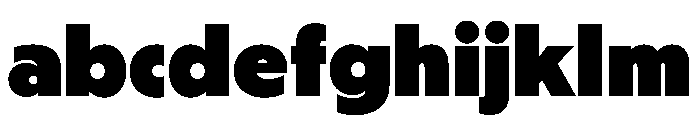PPNikkeiJournal Heavy Instance FONT