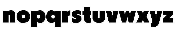 PPNikkeiJournal Heavy Instance Font LOWERCASE