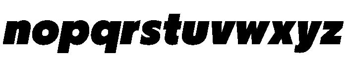 PPNikkeiJournal HeavyOblique Instance Font LOWERCASE