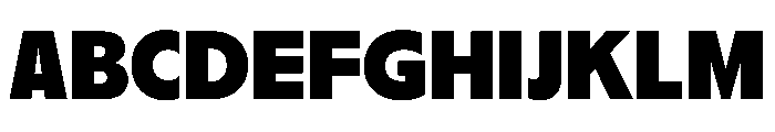 PPNikkeiJournal Ultrabold Instance Font UPPERCASE
